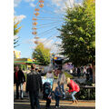 Foto: Fahrgeschäfte und Riesenrad am Alten Markt