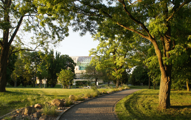 Foto: Park im Frühling