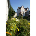 Foto vom 10. Juli 2014: Sommerblumen, blauer Himmel, Balkon mit Markise