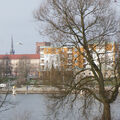 Foto vom 1. Januar 2015: Blick über den Kanal in Richtung Stadt mit fliegendem Schwan