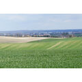 Foto vom 18. April 2015: Blick über´s Feld auf die Silhouette von Berkholz und Schwedt