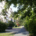 Foto vom 2. Juli 2015: Fußweg Auguststraße