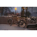 Foto vom 11. Januar 2017: Schnee auf Fahrrad und Rabatten