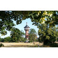 Foto vom 11. Juli 2019: abgeerntetes Feld vor dem Wasserturm, davor Lindenblüten