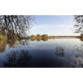 Foto vom 14. Oktober 2019: blauer Himmel und gelb gefärbte Bäume an der Alten Oder