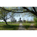 Foto vom 23. April 2020: Blick zum Wasserturm durch grünende Bäume