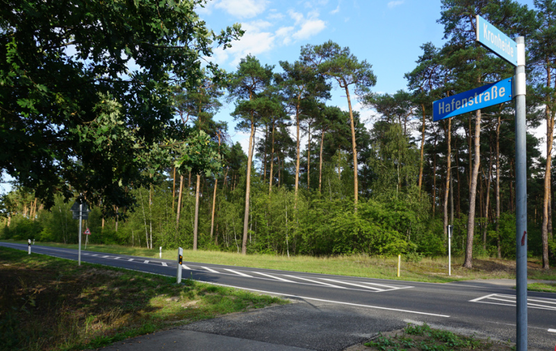 Foto: Straße mit Straßenschild und Kiefern Foto: Straße mit Straßenschild und Kiefern