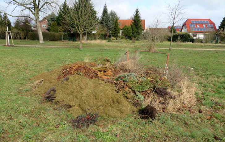 Foto: illigal entsorgte Gartenabfälle am Wegesrand Foto: illigal entsorgte Gartenabfälle am Wegesrand