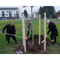 Foto: Drei Männer schaufeln Erde in das Loch eines frisch gepflanzten Baumes.