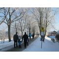 Foto: Spaziergänger, Bäume, Nationalparkschild und Brücke