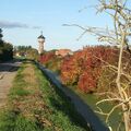 Foto: herbstliche Landschaft mit Graben und Wasserturm