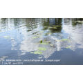 Foto: Spiegelung der Landschaft auf einer Wasseroberfläche