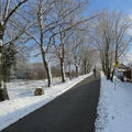 Foto vom 31. Januar 2015: winterliche Landschaft, Radler auf dem Weg zur Schöpfwerkbrücke