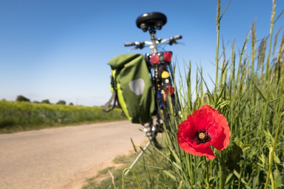 Ein Fahrrad steht am Feldrand.